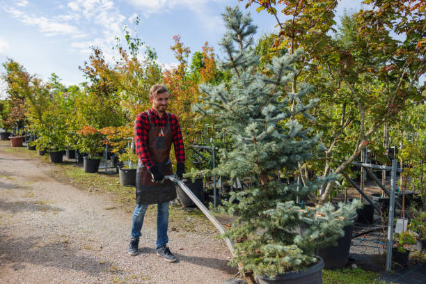 Mulching Services in Mays Landing, NJ